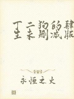 丁二狗的肆意人生未删减版封面