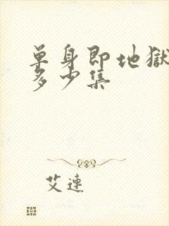 单身即地狱5有多少集封面