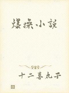 爆操小说