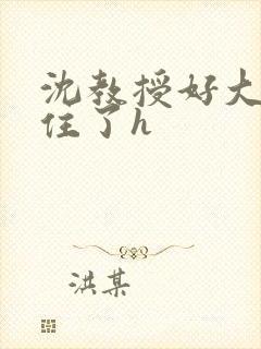 沈教授好大含不住了h