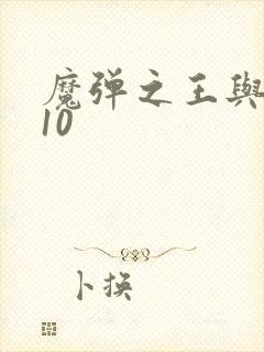 魔弹之王与战姬10