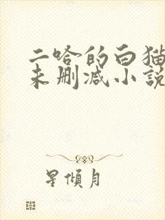 二哈的白猫师尊未删减小说封面