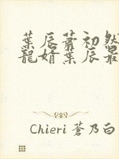 叶辰萧初然上门龙婿叶辰最新封面