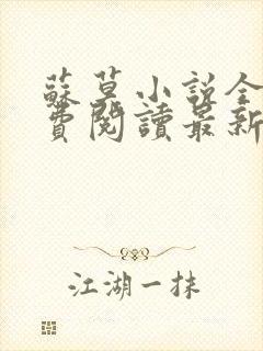 苏莫小说全文免费阅读最新章节