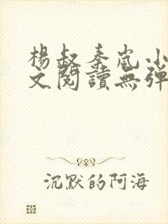 杨叔秦岚小说全文阅读无弹窗