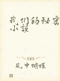 我们的秘密泰剧小说