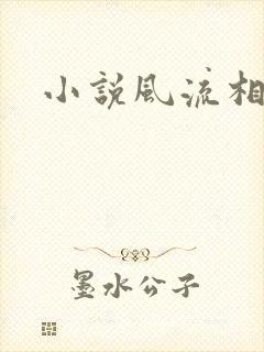 小说风流相师封面