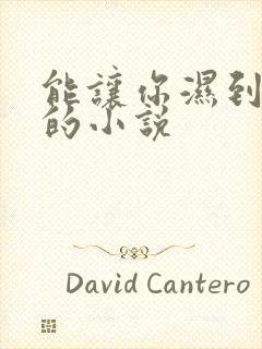 能让你湿到不行的小说