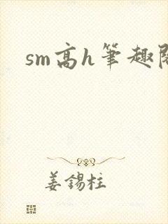 sm高h笔趣阁