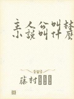 主人公叫林尘的小说叫什么名字封面
