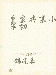 皇家共享小公主宁初封面