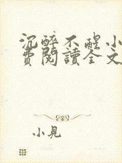 沉醉不醒小说免费阅读全文无弹窗