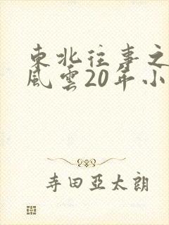 东北往事之黑道风云20年小说