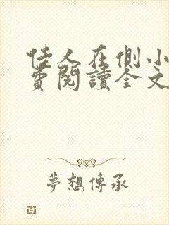 佳人在侧小说免费阅读全文无弹窗