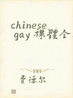 chinese gay 裸体全见