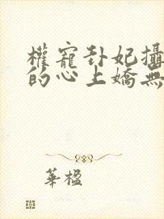 权宠卦妃摄政王的心上娇无弹窗