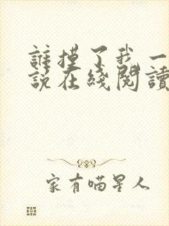 谁摸了我一下小说在线阅读