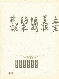 我的绝美上司小说未删版完整