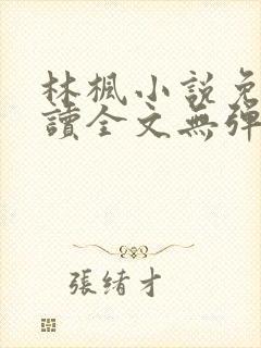 林枫小说免费阅读全文无弹窗封面