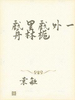 戏里戏外一叶孤舟林栀封面