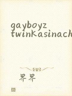 gayboyztwinkasinachinese