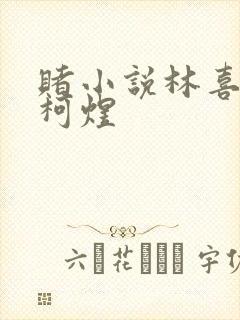 赌小说林喜朝和柯煜