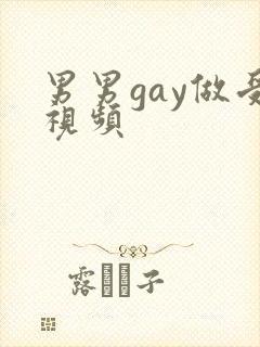 男男gay做受视频