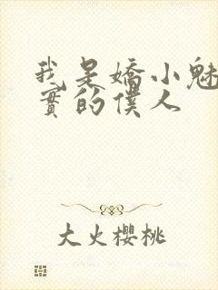 我是娇小魅魔忠实的仆人封面