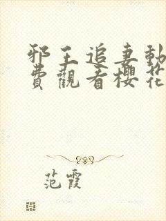 邪王追妻动漫免费观看樱花动漫第一季