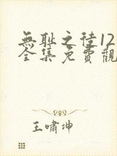 无耻之徒12季全集免费观看封面