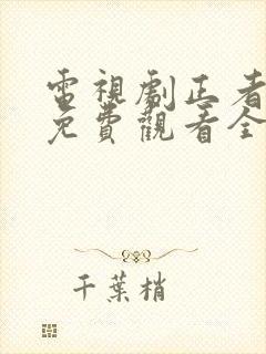 电视剧正者无敌免费观看全集