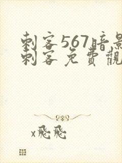 刺客567暗影刺客免费观看