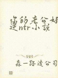 你的老公好棒啊逆ntr小说