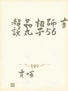 超品相师有声小说丸子56