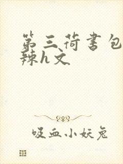第三荷书包网高辣h文
