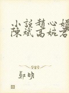 小说赵心媚主角陈斌高婉君