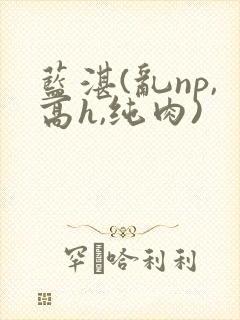 蓝湛(乱np,高h,纯肉)