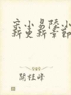 宋小易陆小婷最新更新章节笔趣阁封面