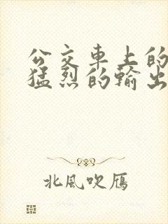 公交车上的诗请猛烈的输出阅读