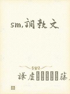 sm,调教文