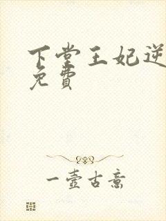下堂王妃逆袭记免费