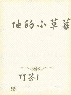 他的小草莓