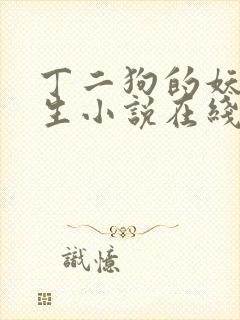 丁二狗的妖孽人生小说在线阅读