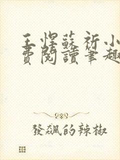 王悍苏祈小说免费阅读笔趣阁最新封面