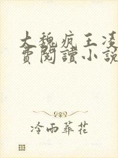 大魏疯王凌宁免费阅读小说