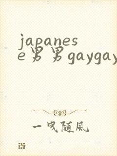 japanese男男gaygay呻吟