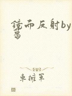 镜面反射by九葛