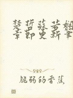 楚哲苏若娴最新章节更新笔趣阁封面