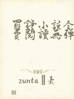 罗铮小说全文免费阅读无弹窗