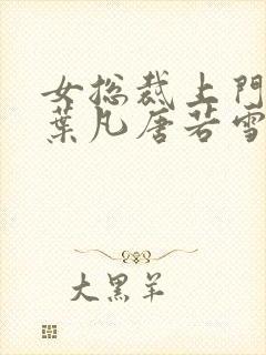 女总裁上门女婿叶凡唐若雪封面